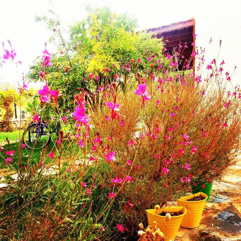 Nar Bagevi Hotel Bozcaada Exterior photo