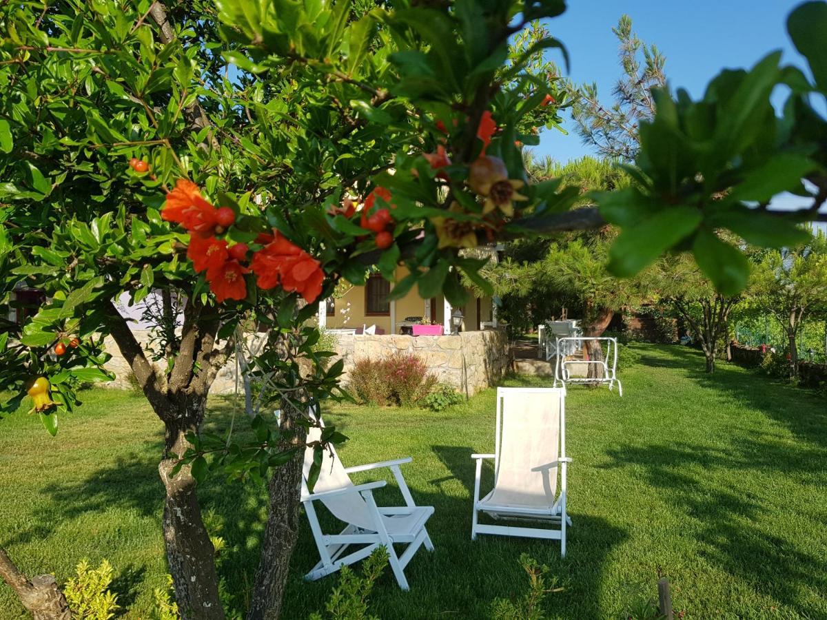 Nar Bagevi Hotel Bozcaada Exterior photo